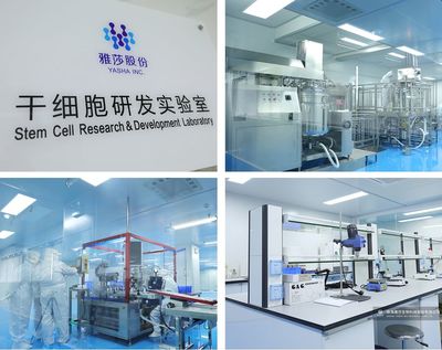 母乳協會&超人媽媽 創始人蒞臨雅莎園區,“空降”雅思專場直播